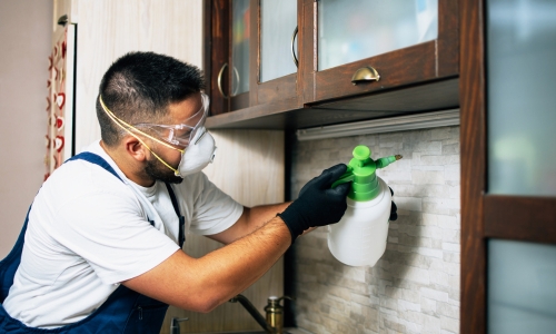 pest control services in Balapur